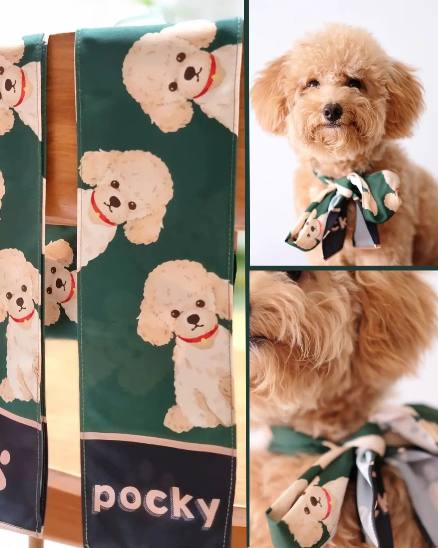 Custom Pet's Illustration Scarf